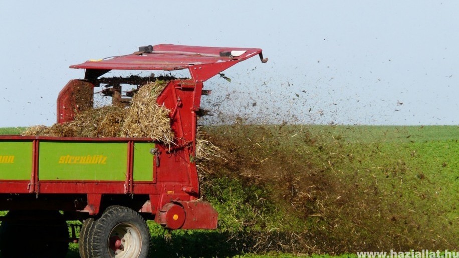 Nem mindegy, hogy mikor milyen tápanyagot biztosítunk a gyep számára