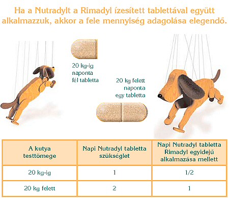 A KUTYÁNAK IZÜLETGYULLADÁSA VAN? (x)