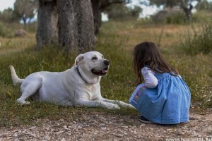 Az 5 leghűségesebb kutyafajta