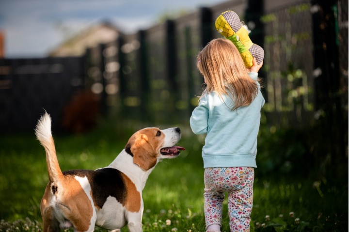 A kutyás játékok a gazdinak és a kutyának is örömet okoznak