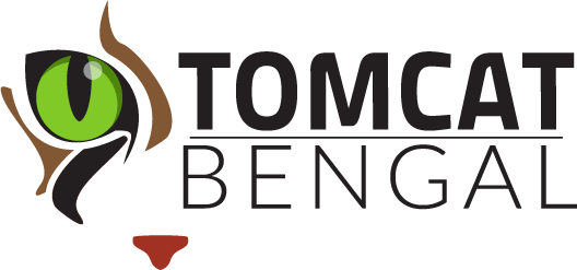  TomCat Bengal bengáli macskatenyészet