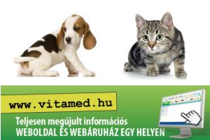 Beteg a kutyád? Minden bajra gyógyír, egy helyen