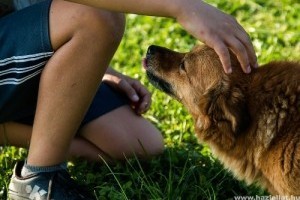 A kutyák nem szeretik azokat, akik utálatosak gazdájukkal