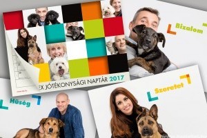 Hírességek sztárolják az örökbefogadásra váró kutyákat és cicákat